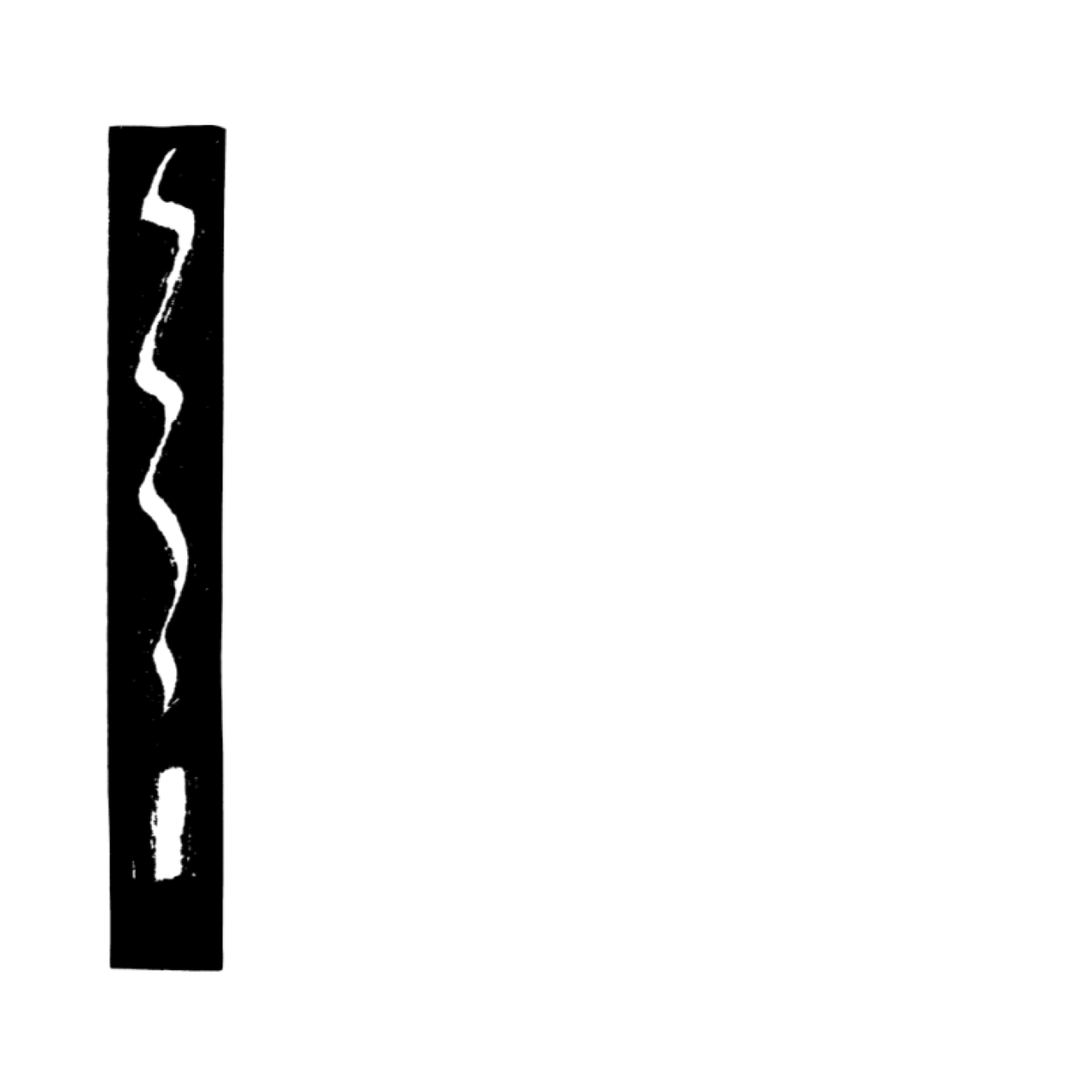 image-disque-feeze