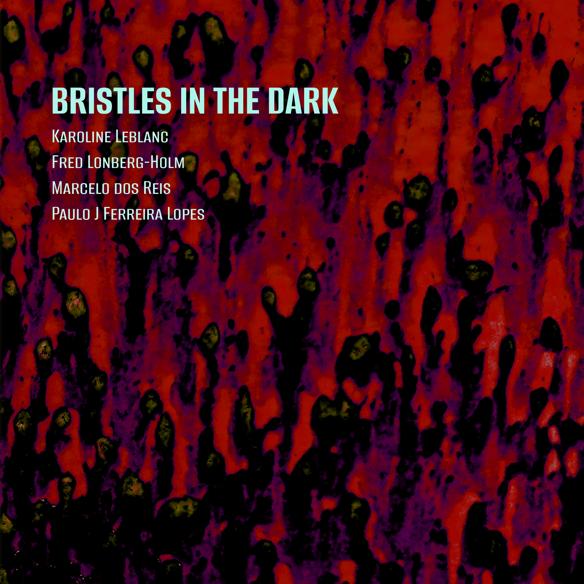 BRISTLES IN THE DARK by Leblanc